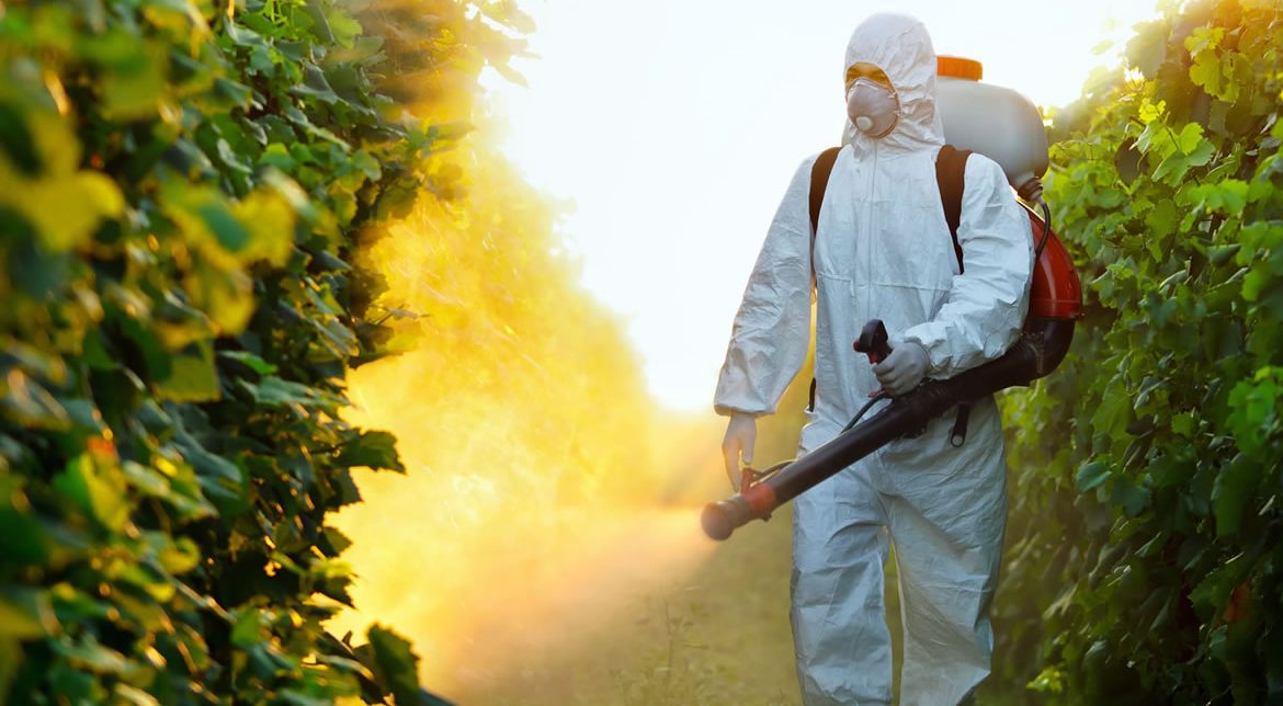 header-fumigacionesasis-03